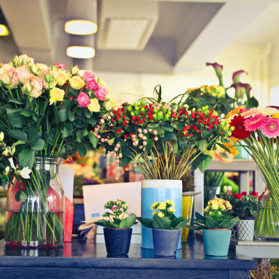 Flower Shops